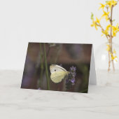 Schmetterling auf Lavendel Karte (Gelbe Blume)