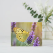 Schmetterling auf Lavendel Postkarte (Stehend Vorderseite)