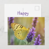 Schmetterling auf Lavendel Postkarte (Vorne/Hinten)