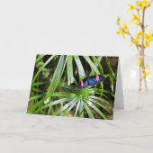 Schmetterling auf Leaf Karte (Gelbe Blume)