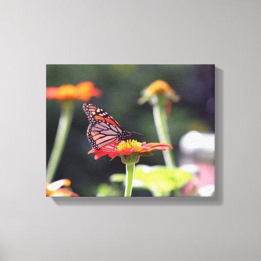 Schmetterling auf Leinwand (Vorderseite)
