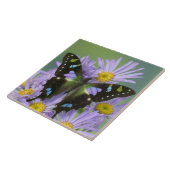 Schmetterling auf Lila Blume Fliese (Seite)