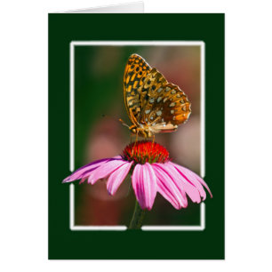 Schmetterling auf Lila Ebene
