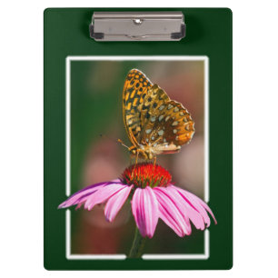 Schmetterling auf Lila Ebene Klemmbrett