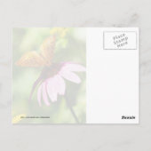 Schmetterling auf Lila Ebene Postkarte (Rückseite)
