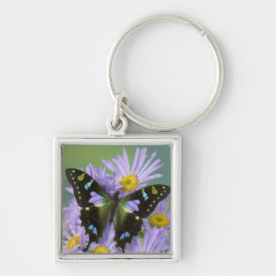 Schmetterling auf Lila Schlüsselanhänger