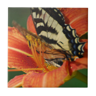Schmetterling auf Lilie Fliese