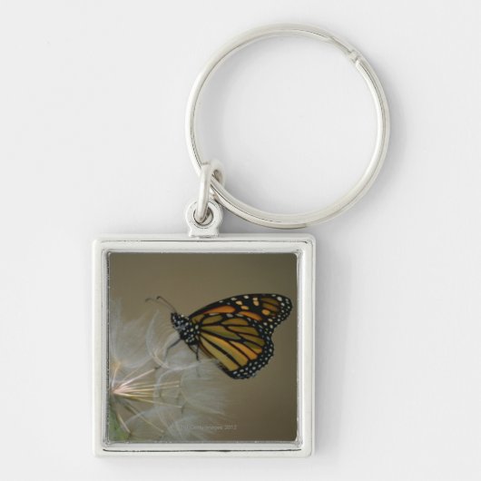 Schmetterling auf Löwenzahn Schlüsselanhänger (Vorne)