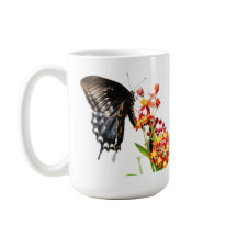 Schmetterling auf Milchkrautblüten, auf Weiß