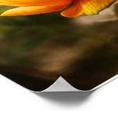 Schmetterling auf Orange Blume Poster (Ecke)