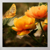 Schmetterling auf Orange Blume Poster (Vorne)