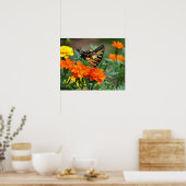 Schmetterling auf Orange und Gelb Blumen Poster (Küche)