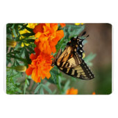 Schmetterling auf Orange- und Gelbblütenprämie Magnet (Horizontal)