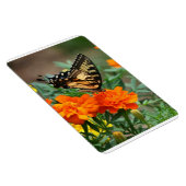Schmetterling auf Orange- und Gelbblütenprämie Magnet (Rechte Seite)