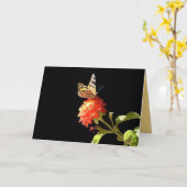 Schmetterling auf orangefarbener Blume, unbedachte Karte (Gelbe Blume)