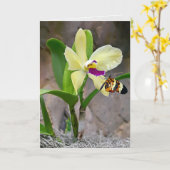 Schmetterling auf Orchid Blossom Karte (Gelbe Blume)