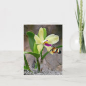 Schmetterling auf Orchid Blossom Notecard Karte (Vorderseite)