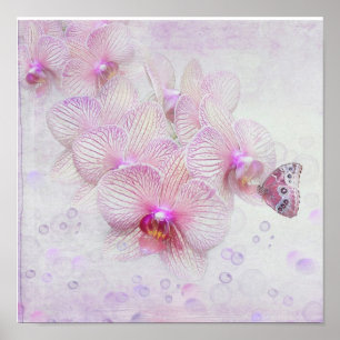 Schmetterling auf Orchideenblüten Poster