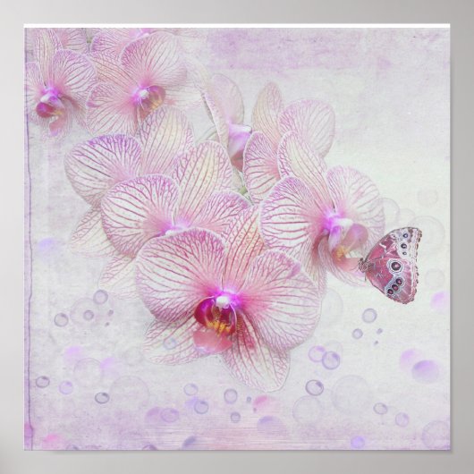 Schmetterling auf Orchideenblüten Poster (Vorne)