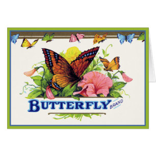 Schmetterling auf Petunias