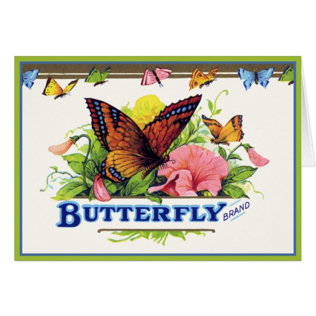 Schmetterling auf Petunias (Vorderseite (Horizontal))