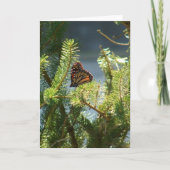 Schmetterling auf Pine Tree Karte (Vorderseite)