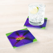 Schmetterling auf Prunkwinde Glasuntersetzer (Schrägansicht)