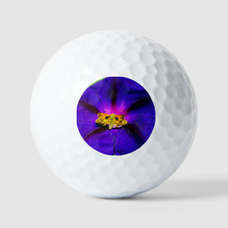 Schmetterling auf Prunkwinde Golfball