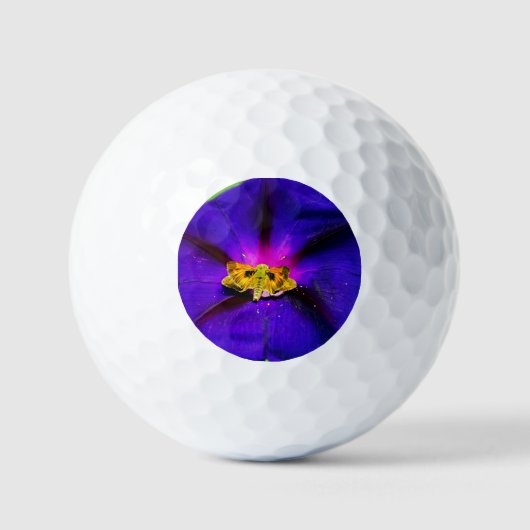 Schmetterling auf Prunkwinde Golfball (Vorderseite)