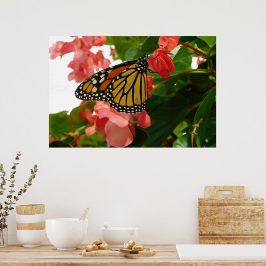 Schmetterling auf Red Blume Poster (Küche)