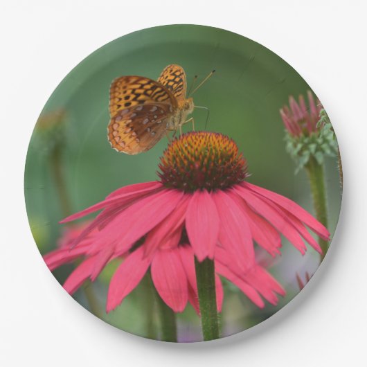Schmetterling auf rosa Blume Pappteller (Vorderseite)