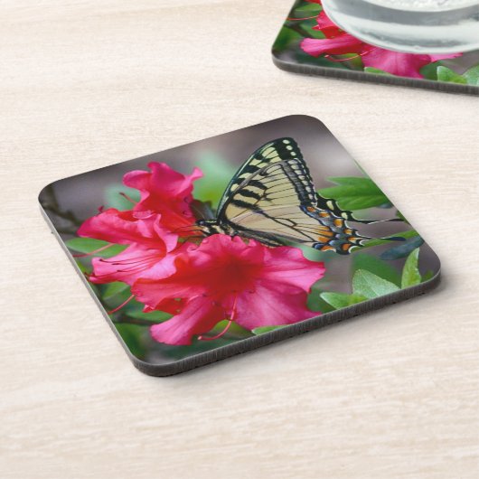 Schmetterling auf rosa Blume Untersetzer Set (Linke Seite)