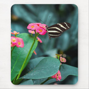 Schmetterling auf rosa Blütenfotografie Mousepad