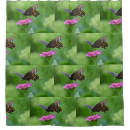 Schmetterling auf rosa Zinnia Duschvorhang