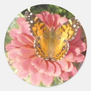 Schmetterling auf rosa Zinnia Runder Aufkleber
