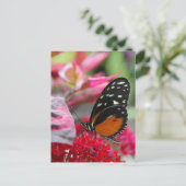 Schmetterling auf Roten Blume Foto Postkarte (Stehend Vorderseite)