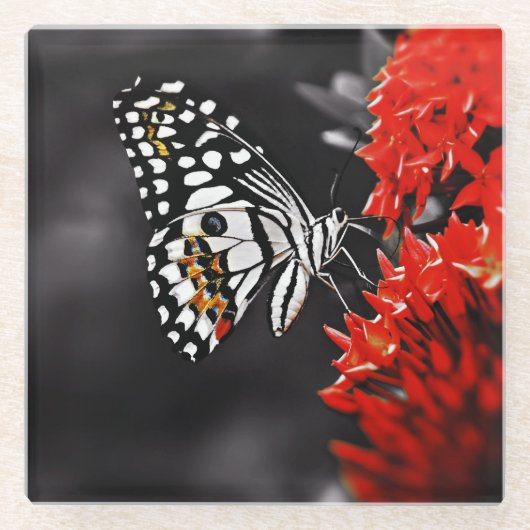 Schmetterling auf roten Blume Glasuntersetzer (Vorderseite)