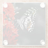 Schmetterling auf roten Blume Glasuntersetzer (Rückseite)