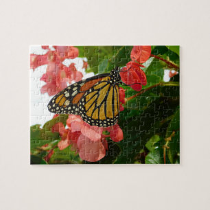 Schmetterling auf Roten Blume Jigsaw Puzzle