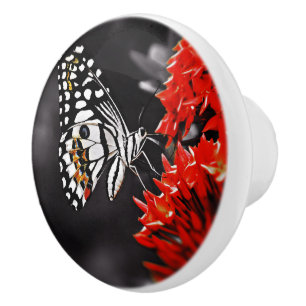 Schmetterling auf roten Blume Keramikknauf