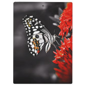 Schmetterling auf roten Blume Klemmbrett (Rückseite)