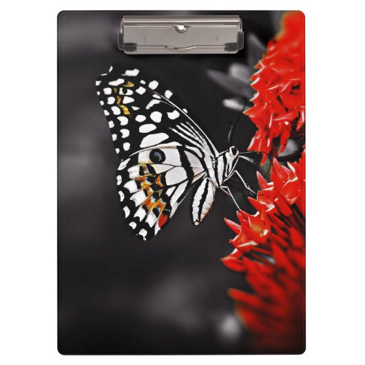 Schmetterling auf roten Blume Klemmbrett (Vorderseite)
