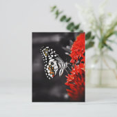 Schmetterling auf roten Blume Postkarte (Stehend Vorderseite)