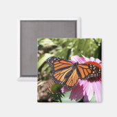 Schmetterling auf roter Blume Magnet (Vorderseite/Rückseite)