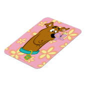 Schmetterling auf Scooby-Doos Nase Magnet (Linke Seite)