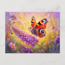 Schmetterling auf Sommerflieder im Spätsommer