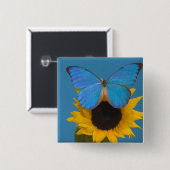 Schmetterling auf Sonnenblume Button (Vorne & Hinten)
