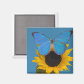 Schmetterling auf Sonnenblume Magnet (Vorderseite/Rückseite)