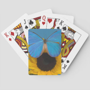 Schmetterling auf Sonnenblume Spielkarten