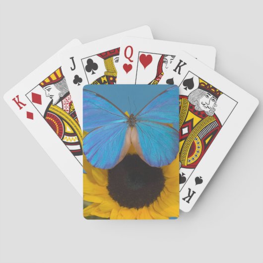 Schmetterling auf Sonnenblume Spielkarten (Rückseite)